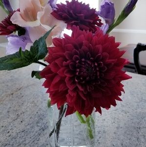 Meet your Posher, Nertila